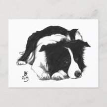 Doggust 2019 Border Collie Briefkaart