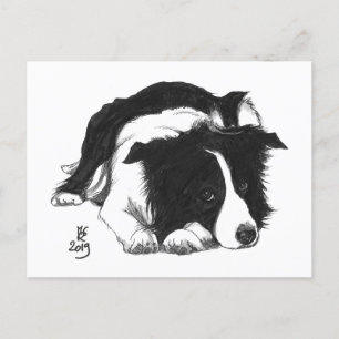 Doggust 2019 Border Collie Briefkaart