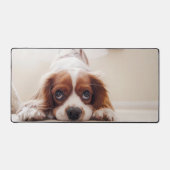 Doggy (Recto)