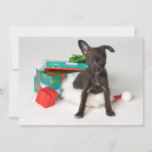 Doggy kerstcadeau feestdagenkaart