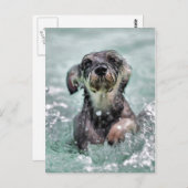 Doggy Paddle Briefkaart (Voorkant / Achterkant)