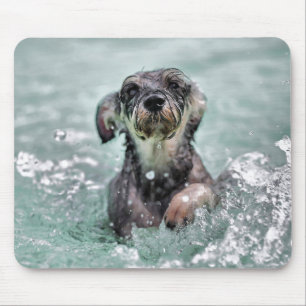 Doggy Paddle Cute Dog Swimming Muismat