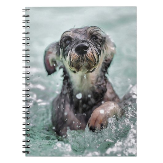 Doggy Paddle Cute Dog Swimming Notitieboek (Voorkant)