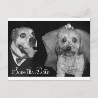 Doggy Save the Date Aankondigingskaart