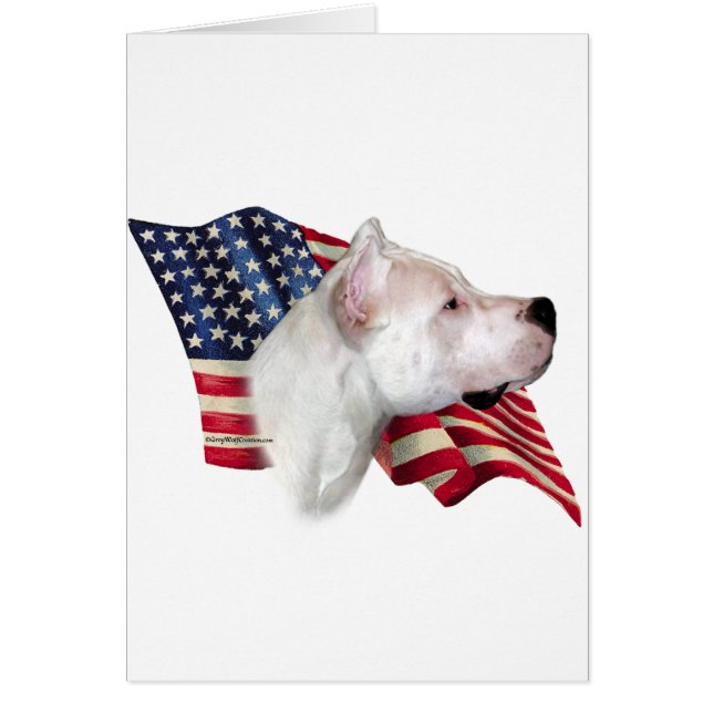 Dogo Argentino (Devant)