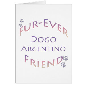 Dogo Argentino Furever