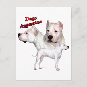 Dogo Argentino Trio 2 Briefkaart