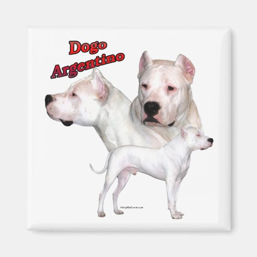 Dogo Argentino Trio 2 - Magnet (Devant)