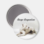 dogo, Dogo Argentino Magneet (Voorkant / Achterkant)