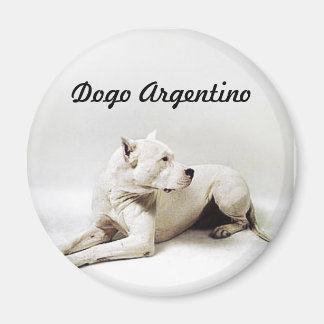 dogo, Dogo Argentino Magneet