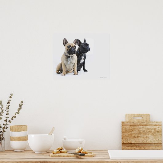 Dogopleiding en gehoorzaamheid poster (Keuken)