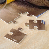 Dogs and Cat Grads in Photo Booth Legpuzzel (Zijkant)