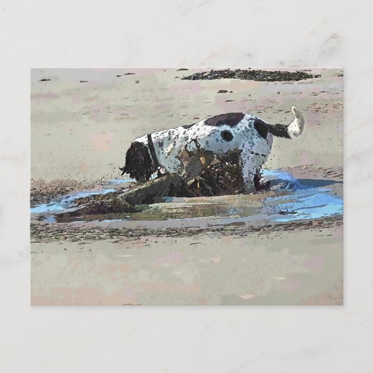 DOGS BRIEFKAART (Voorkant)