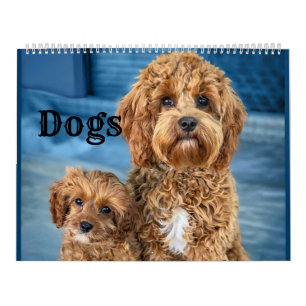 Dogs Calendar Pets Pop Art Kalender