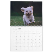 Dogs Calendar Pets Pop Art Kalender (Jan 2027)
