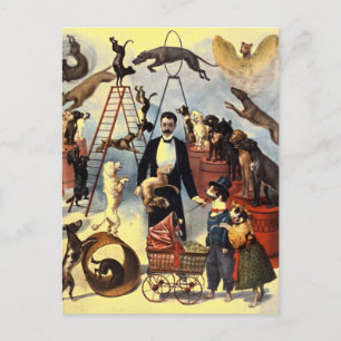  Dogs Circus Illustratie Art Oud Antiek Briefkaart