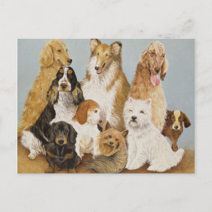 Dogs' Dinner Briefkaart