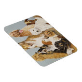 Dogs' Dinner Magneet (Rechterzijde)