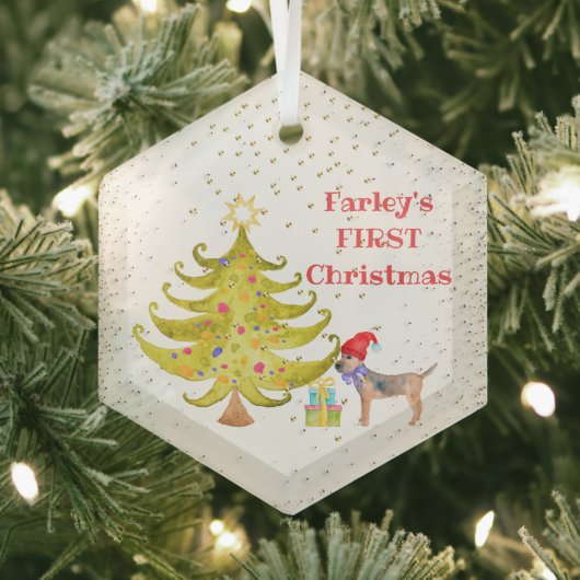 Dog's eerste kerstglazen versiering glas ornament (Insitu)