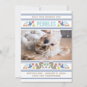 Dog's favoriete dingen Gotcha Day aankondiging (Voorkant)