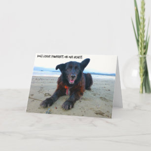 Dogs Leave PawPrints - Dog Greeting Card Kaart