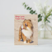 Dogs Love Cape Cod Briefkaart (Staand voorkant)