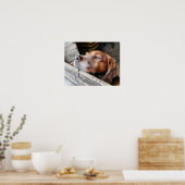 DOGS POSTER (Keuken)