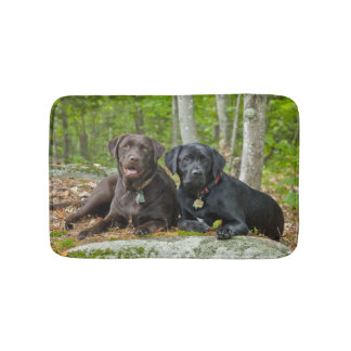 Dogs Puppies Black Lab Chocolate Labrador Retrive Badmat