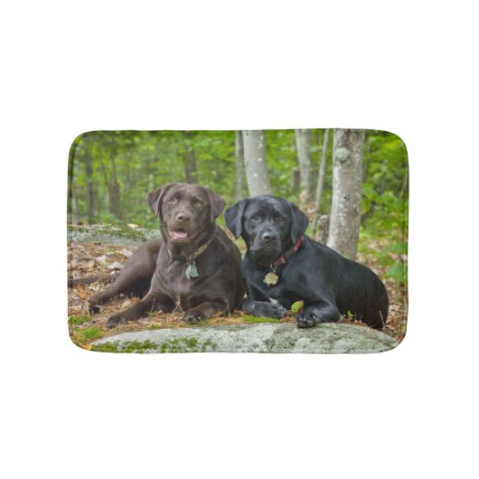 Dogs Puppies Black Lab Chocolate Labrador Retrive Badmat (Voorkant)