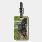 Dogs Puppies Black Lab Chocolate Labrador Retrive Bagagelabel (Voorkant verticaal)