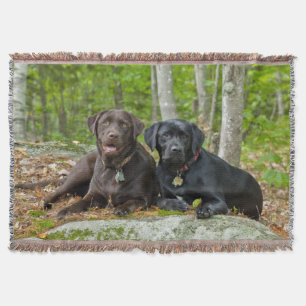 Dogs Puppies Black Lab Chocolate Labrador Retrive Deken