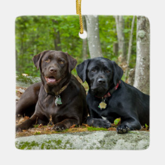 Dogs Puppies Black Lab Chocolate Labrador Retrive Keramisch Ornament
