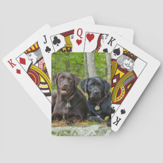 Dogs Puppies Black Lab Chocolate Labrador Retrive Pokerkaarten