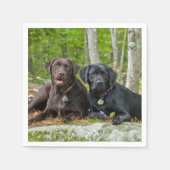 Dogs Puppies Black Lab Chocolate Labrador Retrive Servetten (Voorkant)