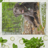 Dogs Puppies Black Lab Chocolate Labrador Retrive Theedoek (Gevouwen)