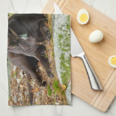 Dogs Puppies Black Lab Chocolate Labrador Retrive Theedoek (Quarter Fold)