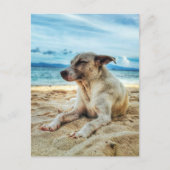 Dog's Relaxing Day in the Beach, Ocean Sand & Sun Briefkaart (Voorkant)