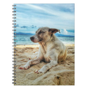 Dog's Relaxing Day in the Beach, Ocean Sand & Sun Notitieboek