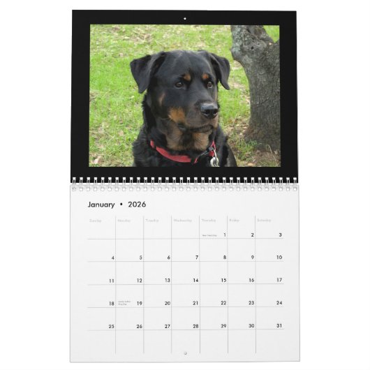 Dogs Rottweiler en Pitbull Dog Calendar Kalender (Jan 2026)