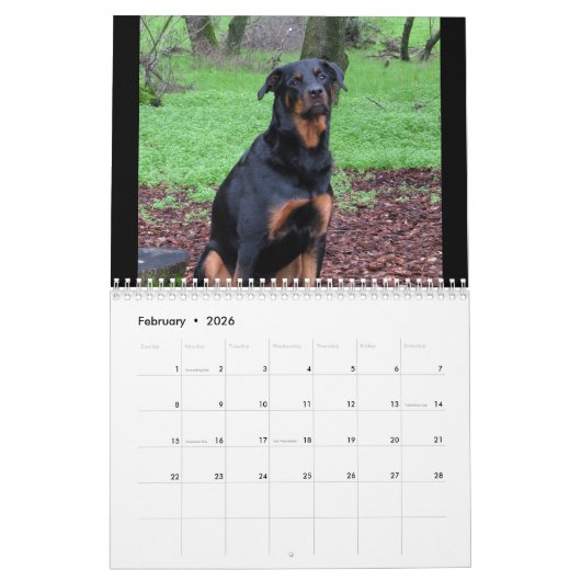 Dogs Rottweiler en Pitbull Dog Calendar Kalender (Feb 2026)