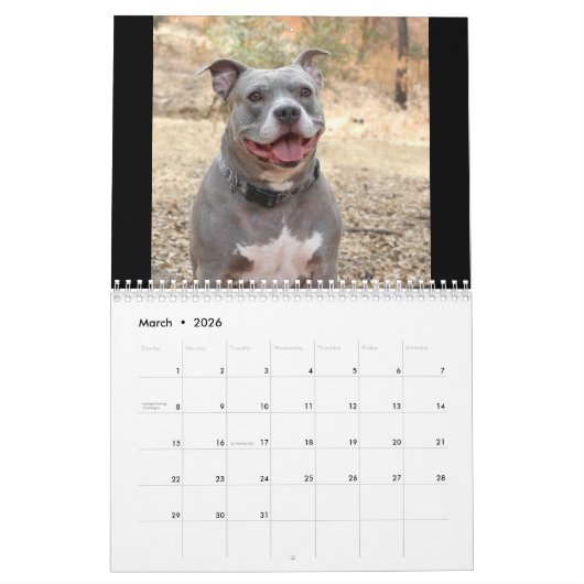 Dogs Rottweiler en Pitbull Dog Calendar Kalender (Mar 2026)