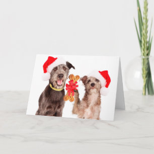 Dogs Sharing HOWLiday cheer Christmas Card Feestdagen Kaart