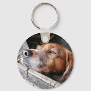 DOGS SLEUTELHANGER