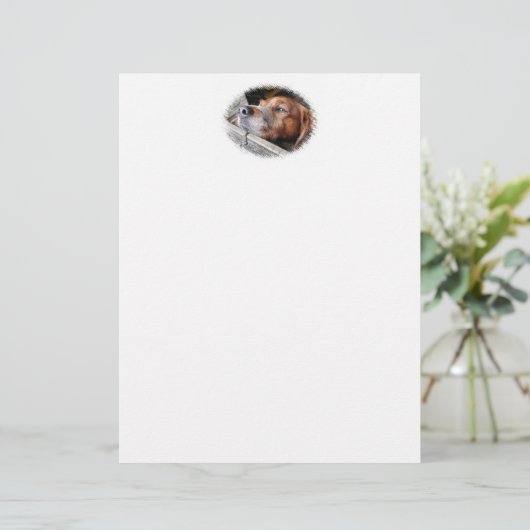 DOGS STATIONERY (Staand voorkant)