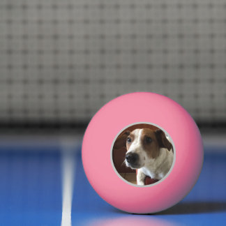 Dogs Tamplate Pingpongballen