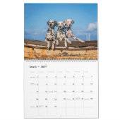 Dogtopia - Calendrier des chiens (Mar 2027)