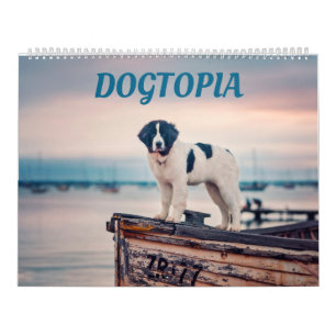 Dogtopia - Calendrier des chiens