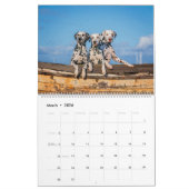 Dogtopia - Calendrier des chiens (Mar 2026)