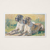 Dogue allemand  (Devant)