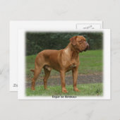 Dogue de Bordeaux 9Y201D-159 Briefkaart (Voorkant / Achterkant)